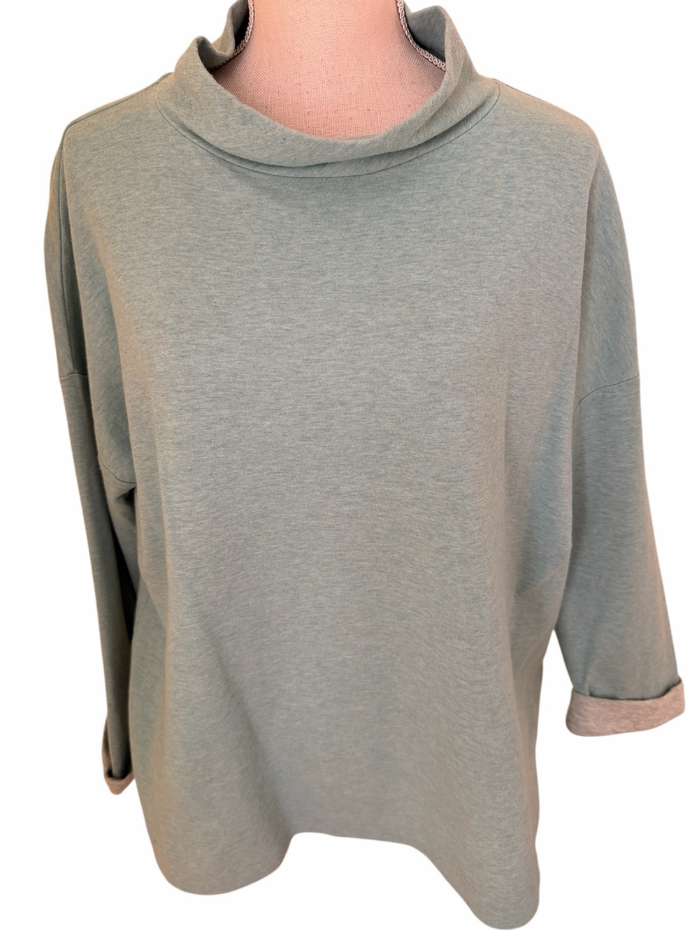 J. Jill Relaxed Pastel Blue/Green Turtleneck Sweatshirt L